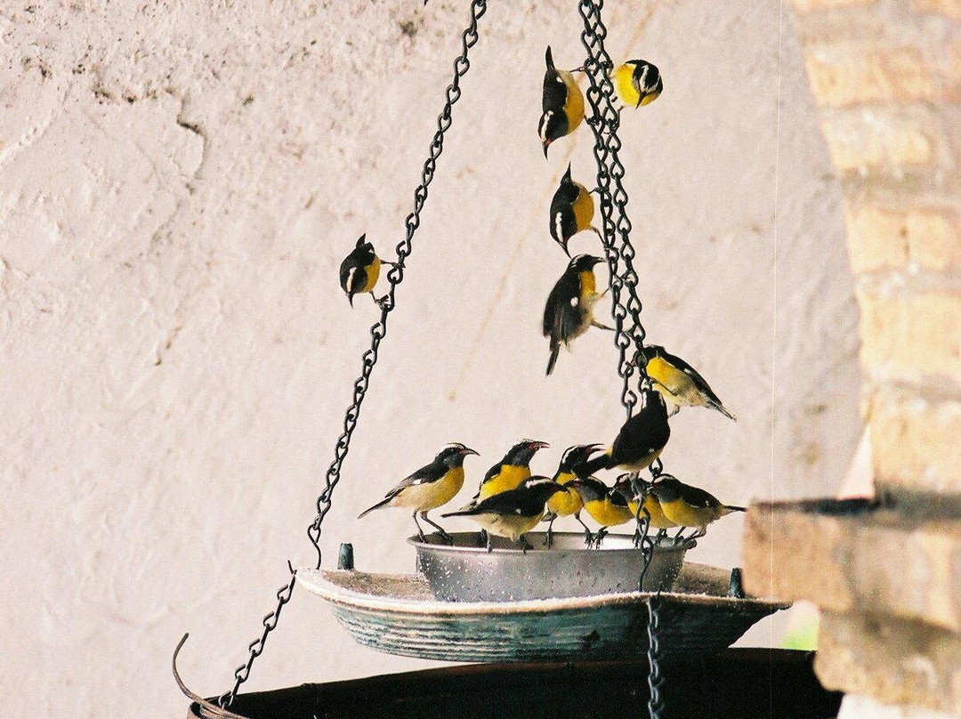 Seven Arches Museum-夏洛特阿马利亚必去景点