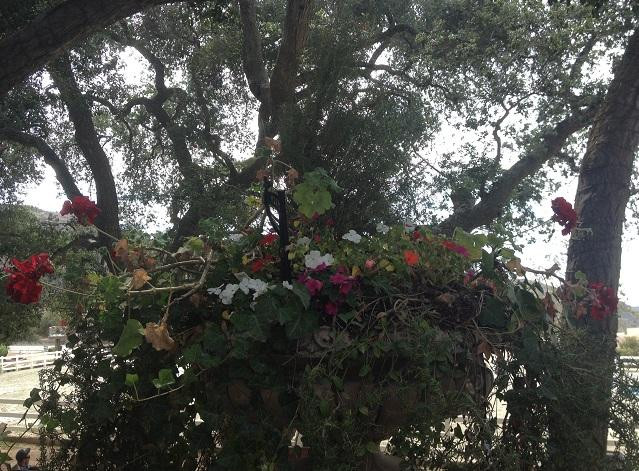 Giracci Vineyards and Farms-Silverado必去景点