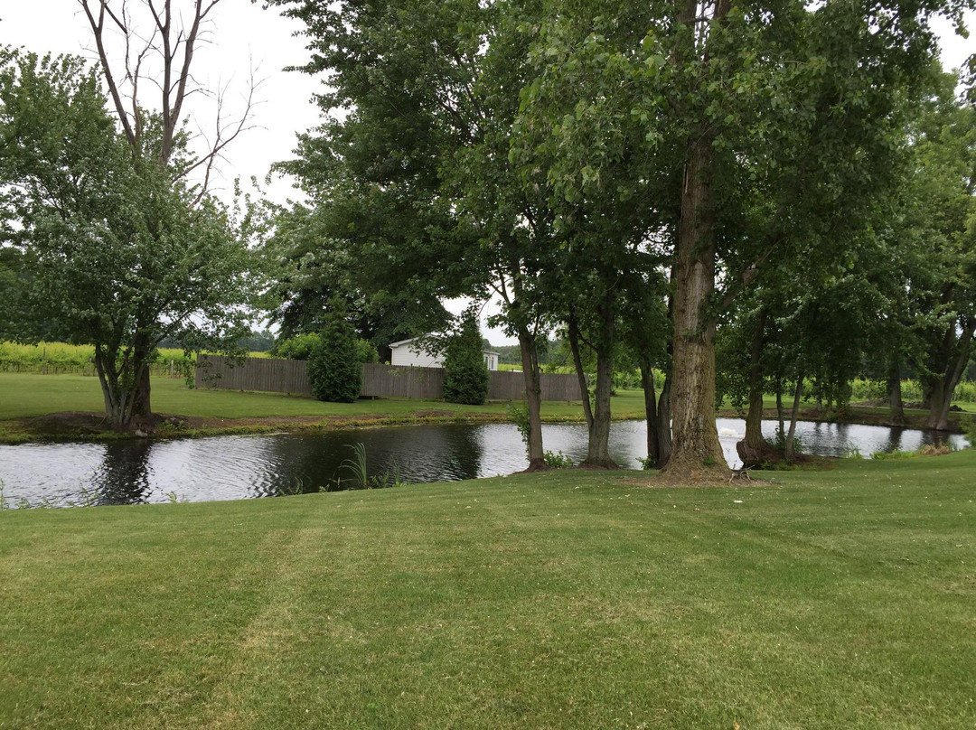 Domaine Berrien Cellars-Berrien Springs必去景点