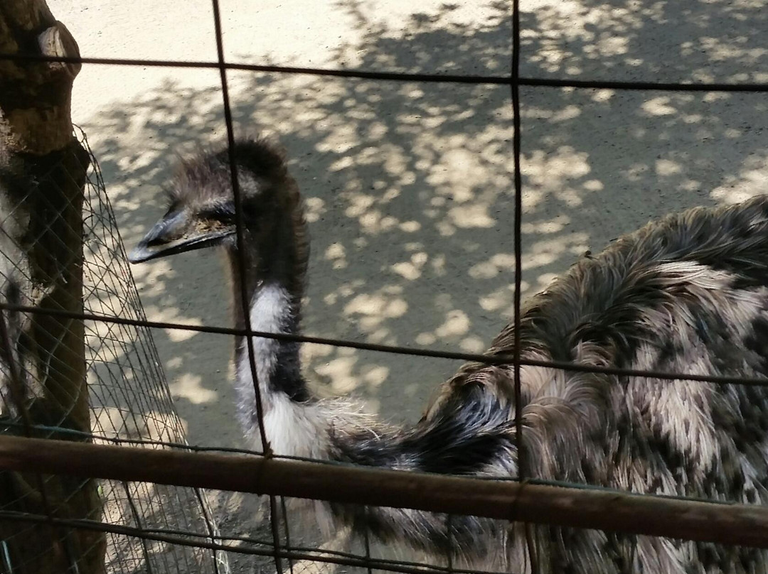 Rancho Las Lomas Wildlife Foundation-Silverado必去景点