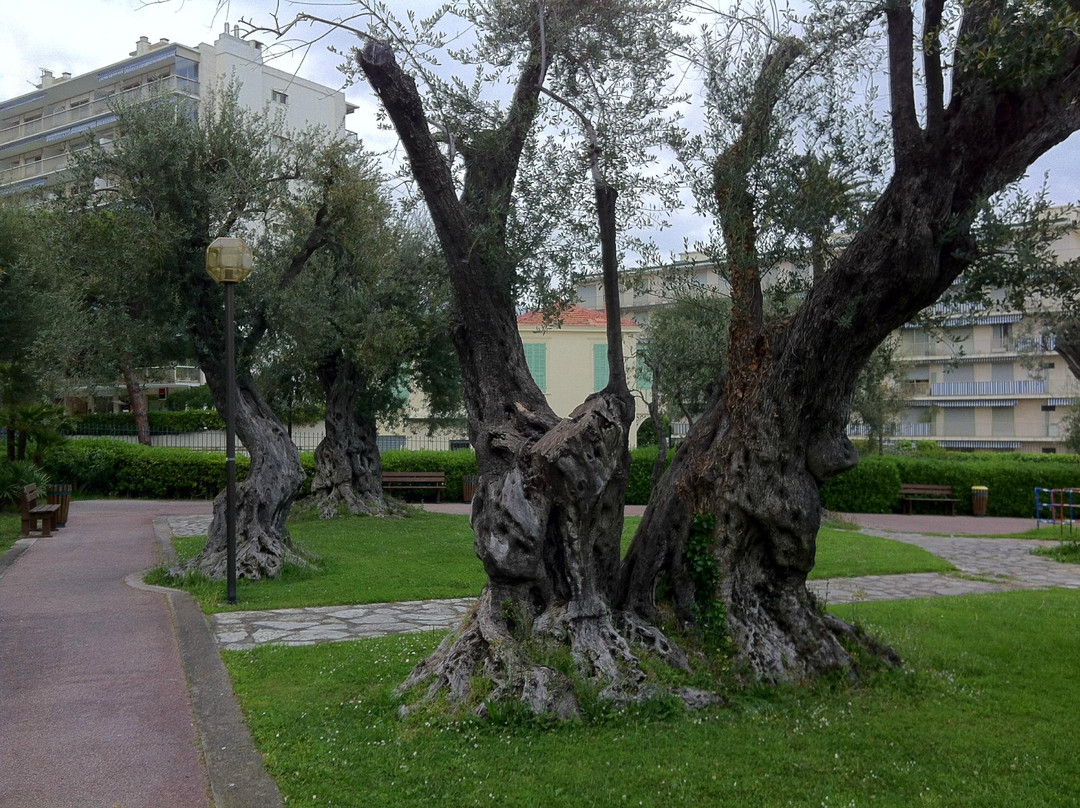 Parc de Roquebrune-罗克布伦第马丁必去景点