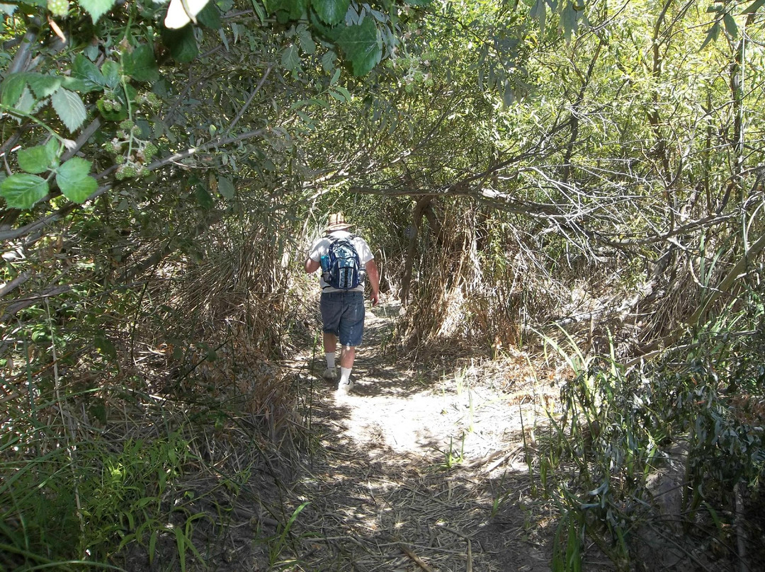 Dow Wetlands Wildlife Habitat Preserve-安条克必去景点