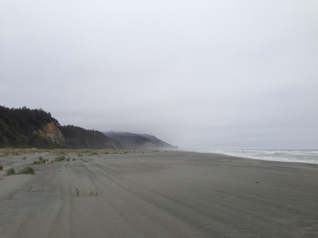 Gold Bluffs Beach景点图片