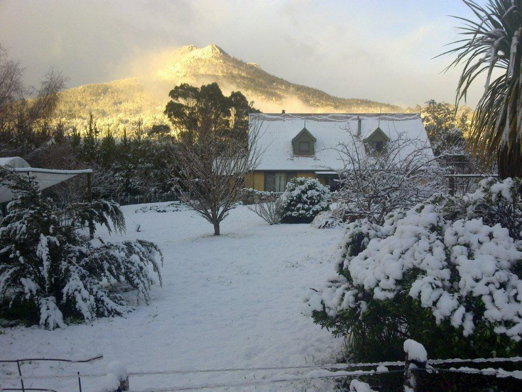 Bluff Views Bed and Breakfast Homestay