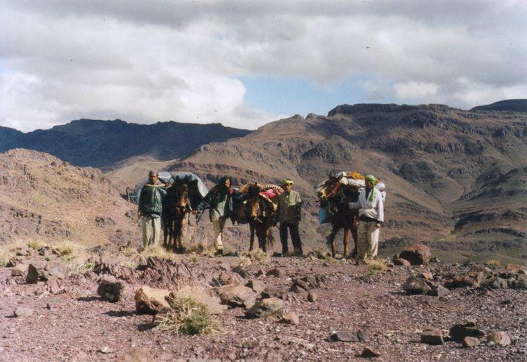 Chez Aissa Day Tours-廷吉尔必去景点