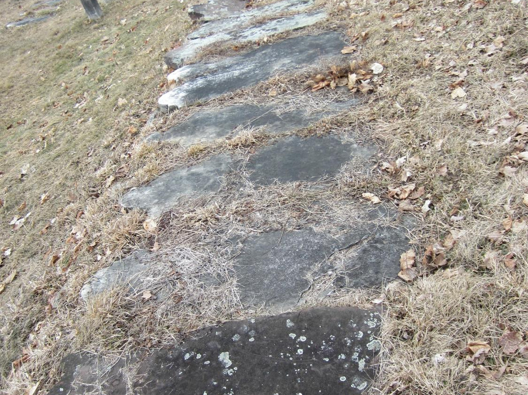 Chester A. Arthur Memorial Tomb-奥尔巴尼必去景点
