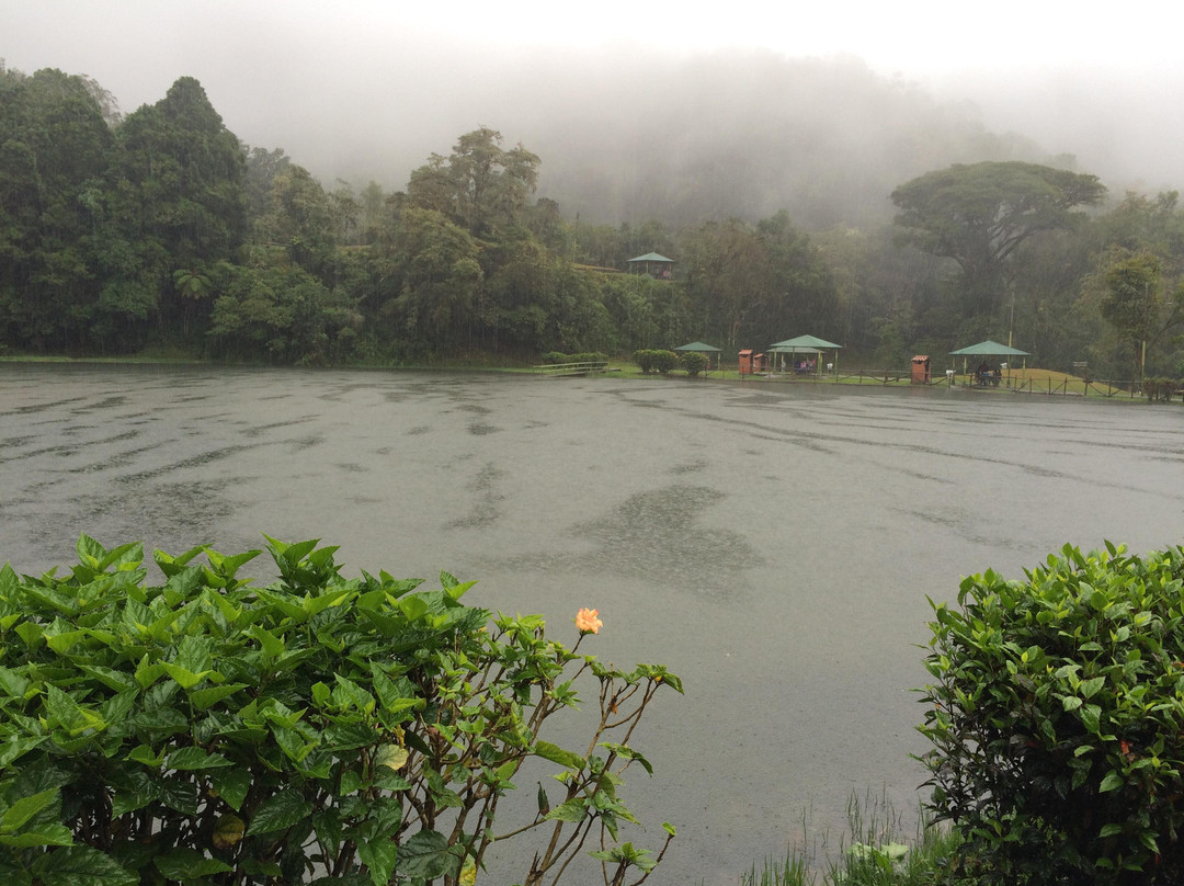 Laguna de los cedros景点图片