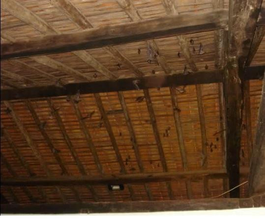 Museu Comunitário Poco Comprido-Vicencia必去景点