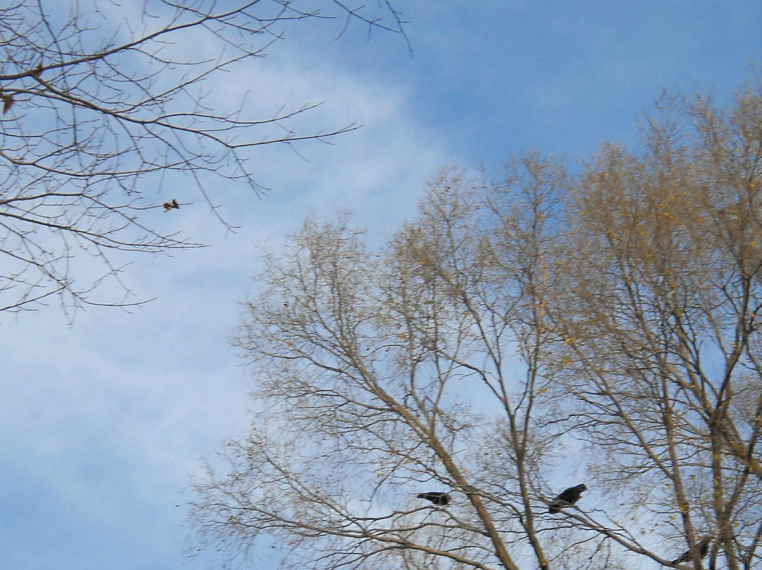 Vilas Park-麦迪逊必去景点