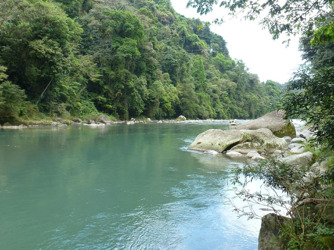Tico's River Adventures景点图片