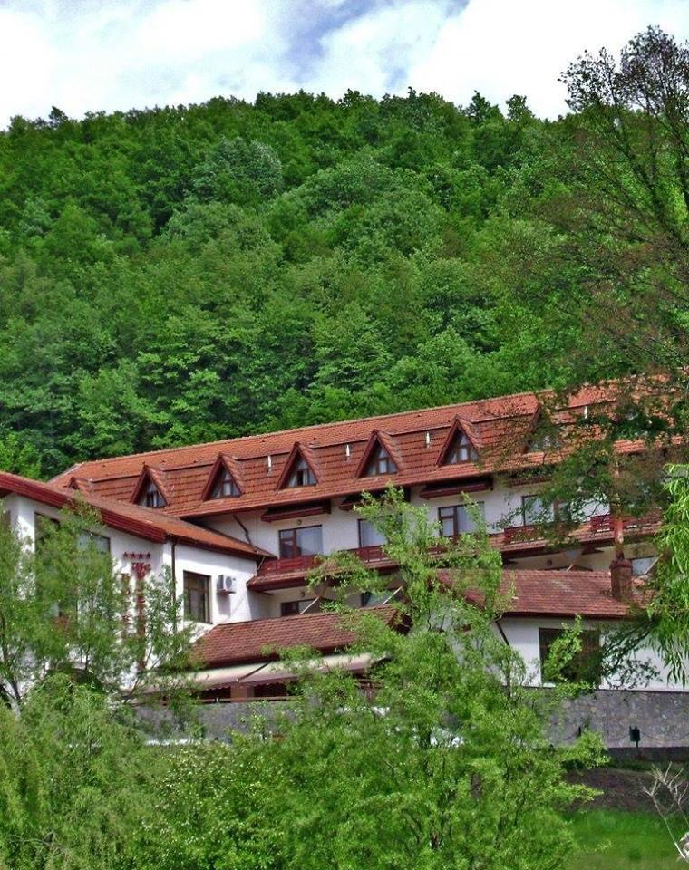 Hotel McPietroasa-浴室