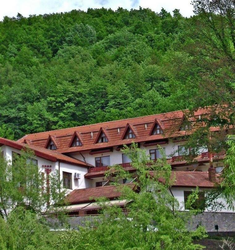 Hotel McPietroasa主图