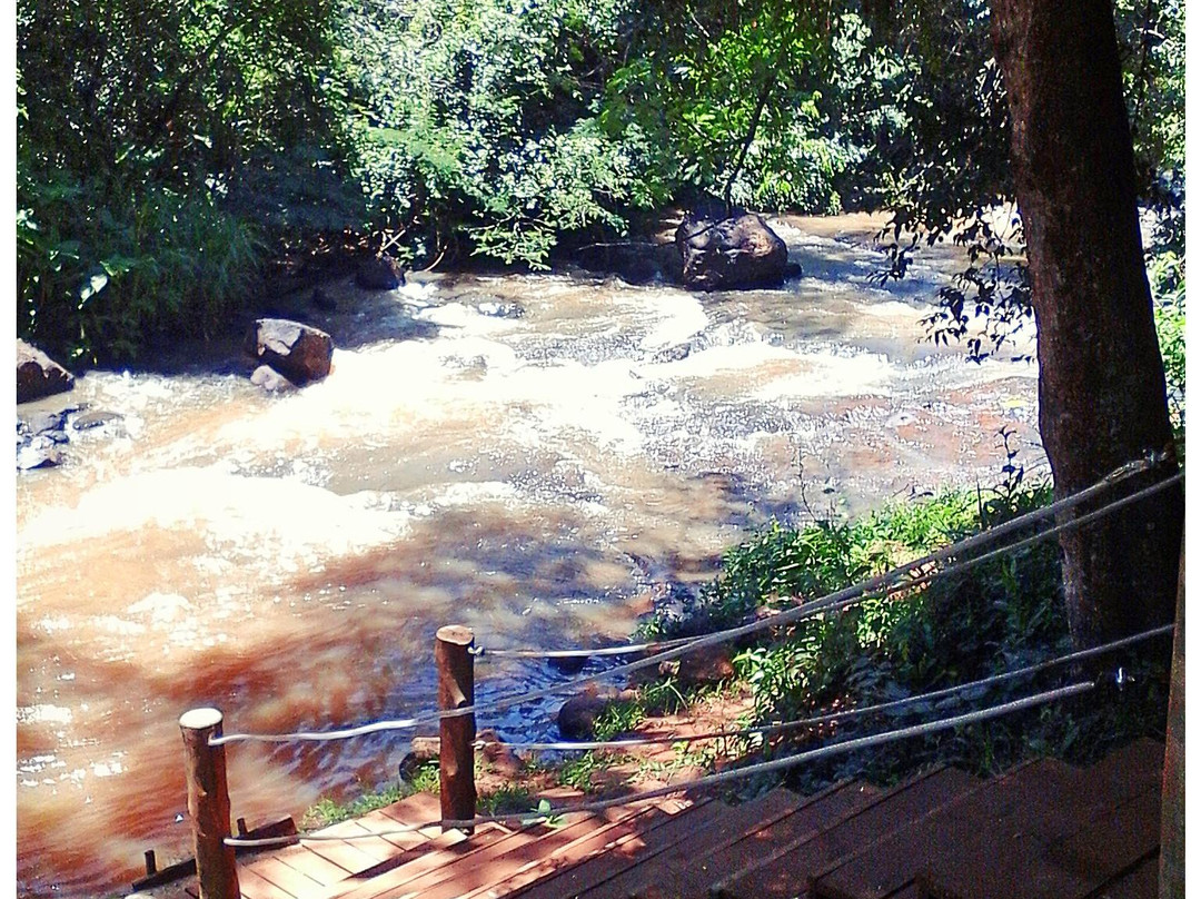Iepe旅游景点-Parque Florestal de Ibicatu