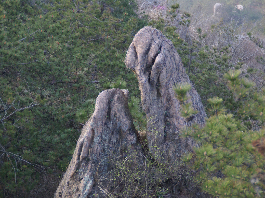 槎山风景区-荣成市必去景点