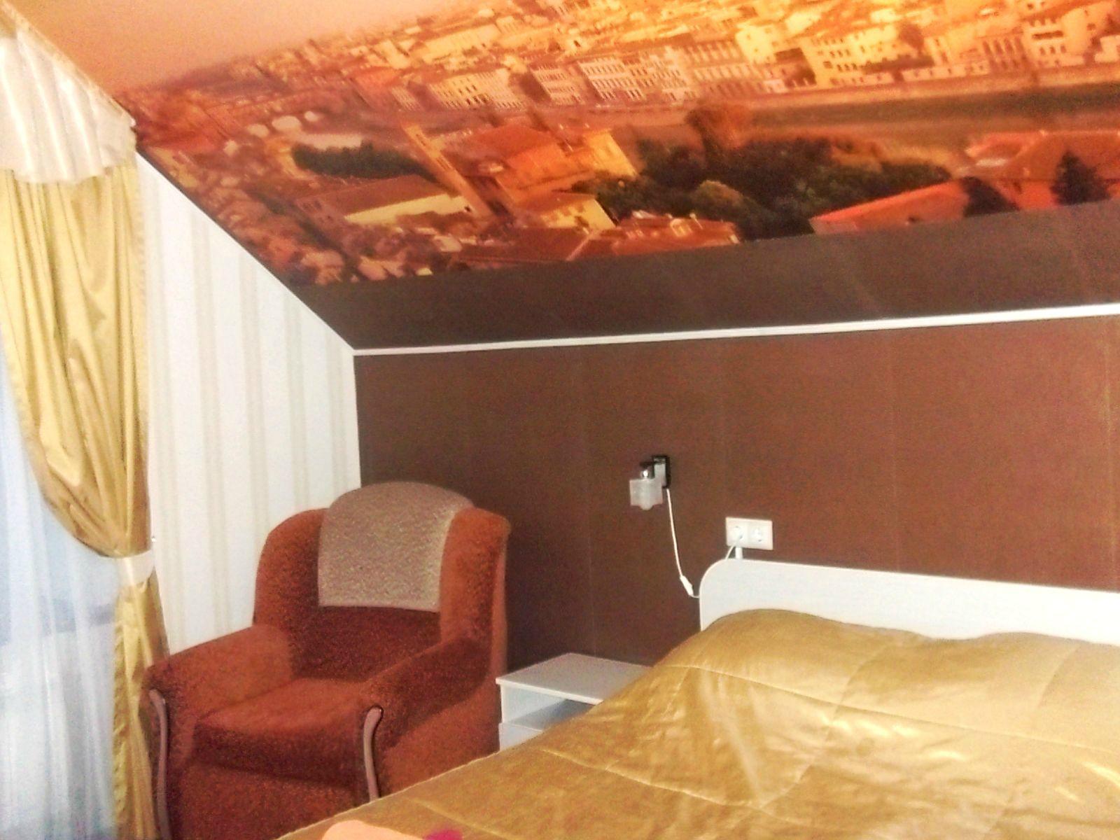 Hotel Zebra-客卧