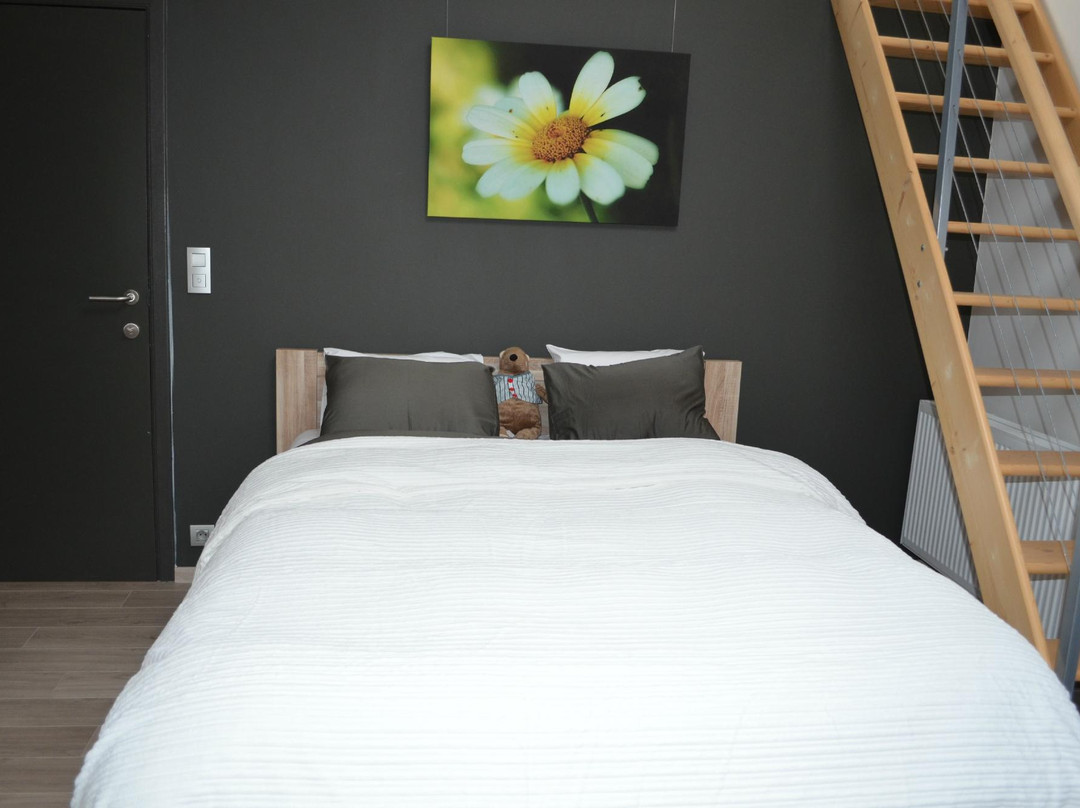 B&B Het Houten Paard主图