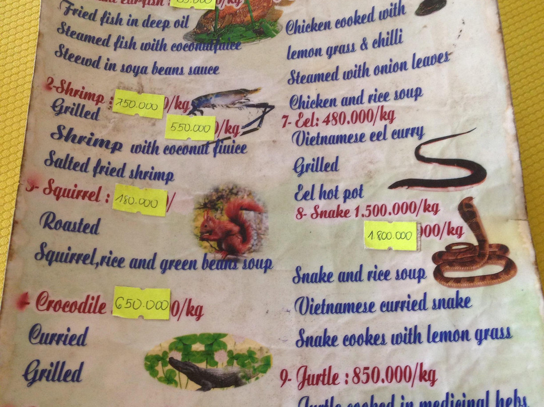 Kim Travel-胡志明市必去景点