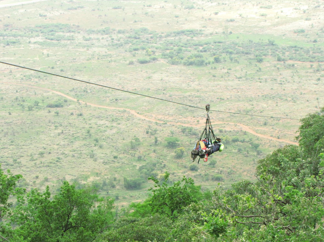 Zip 2000 at Sun City