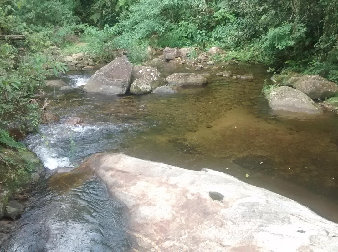 Trilha dos Jequitibás