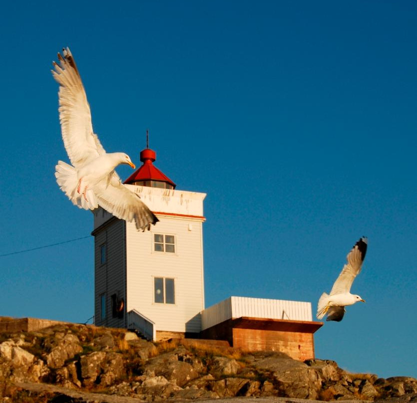 Ryvarden Lighthouse主图