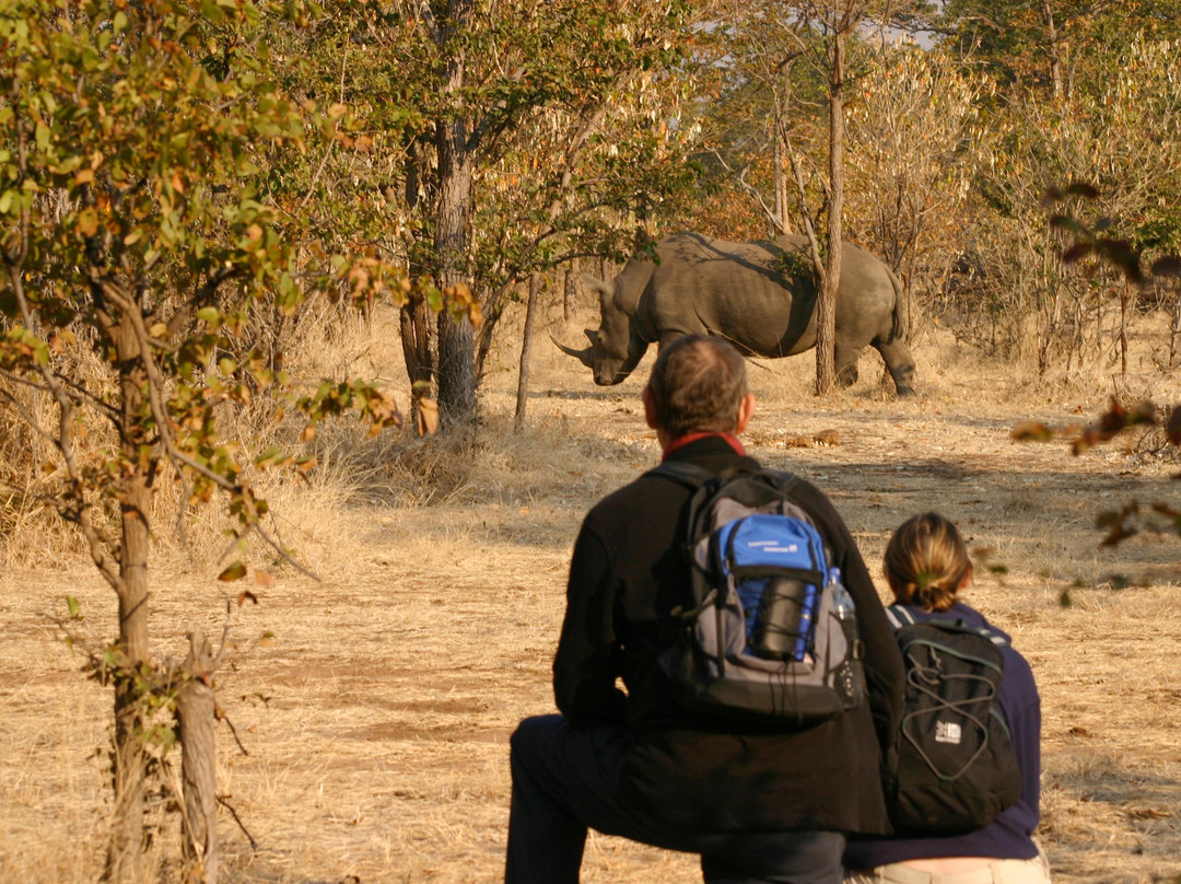 Livingstone Rhino Safaris-李文斯顿必去景点