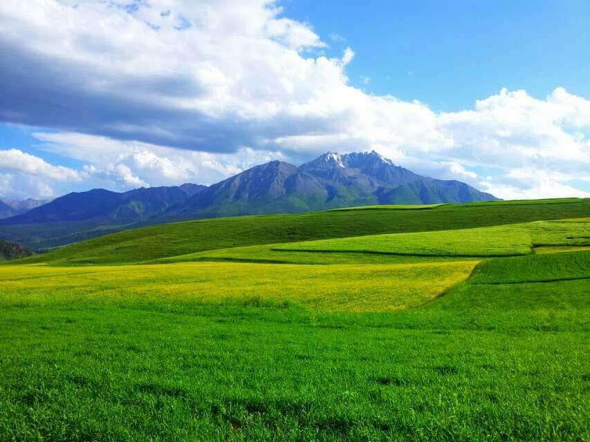 祁连山景点图片