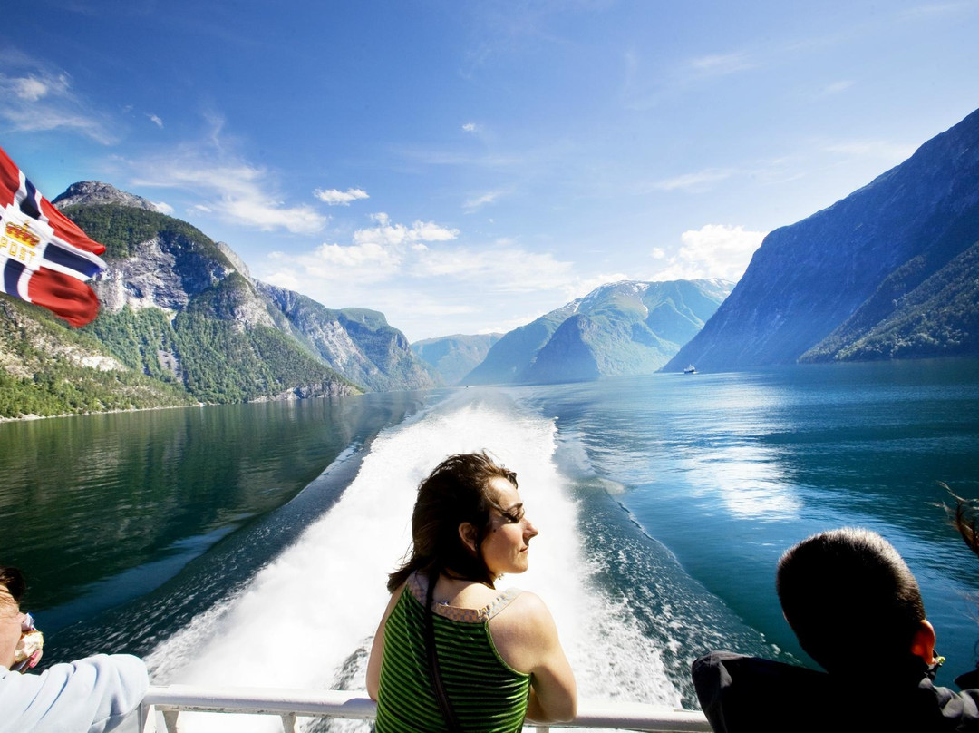 Fjord Tours-卑尔根必去景点