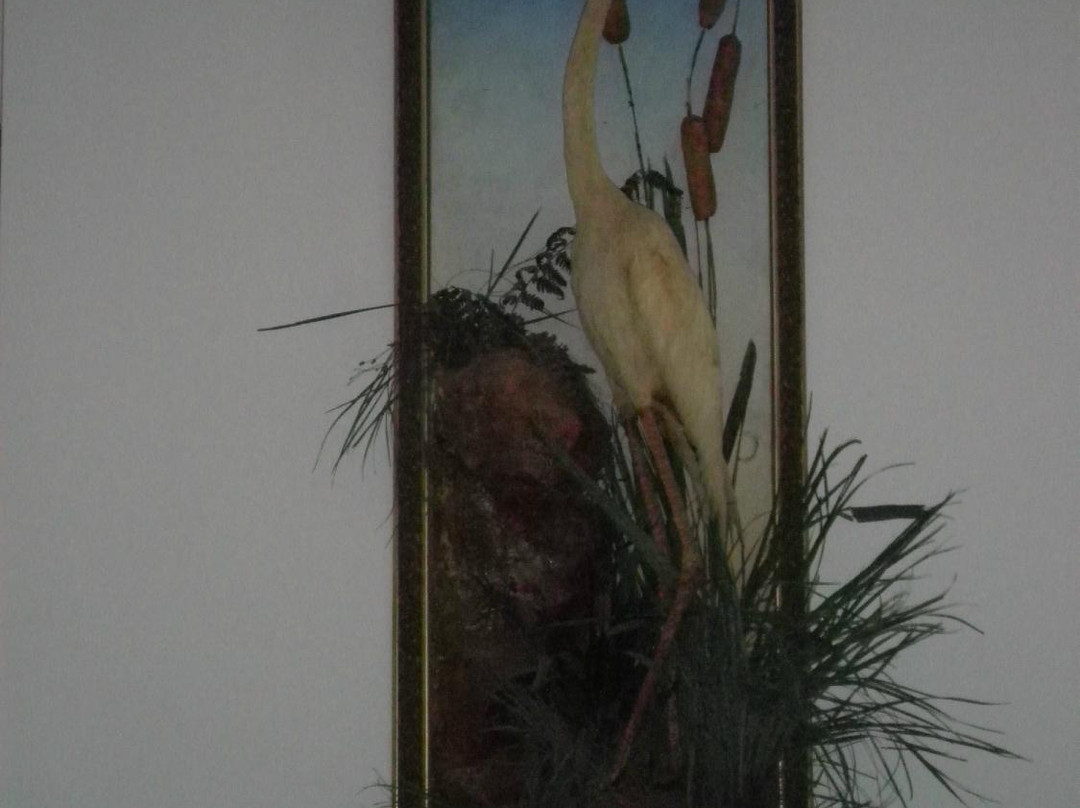 Bronson-Mulholland House-Palatka必去景点