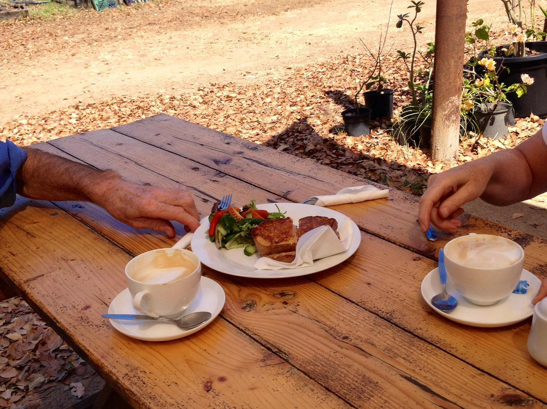 Crazy Acres-Berry Springs必去景点