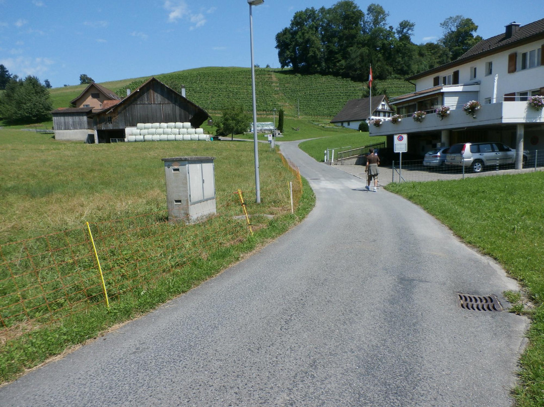 Burgruine Alt-Waedenswil-Richterswil必去景点
