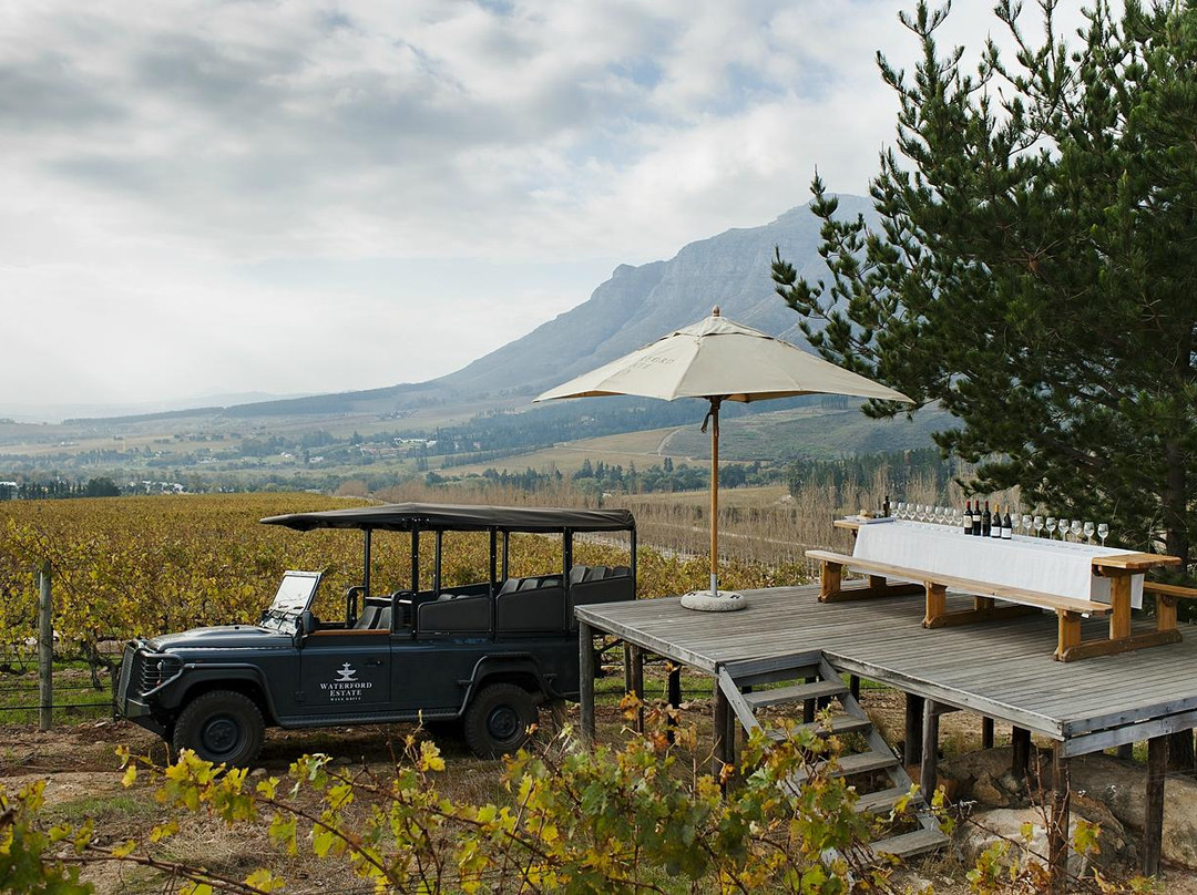 Waterford Estate-斯泰伦博斯必去景点