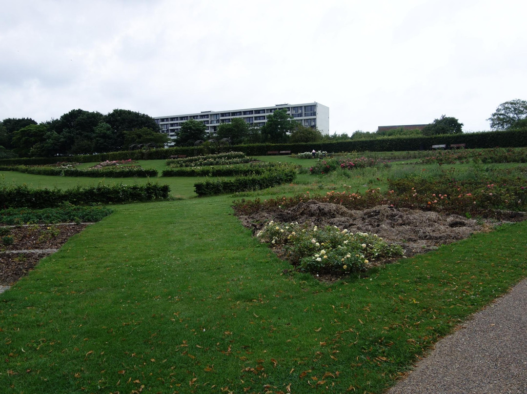 Botanical Garden and the Greenhouses景点图片