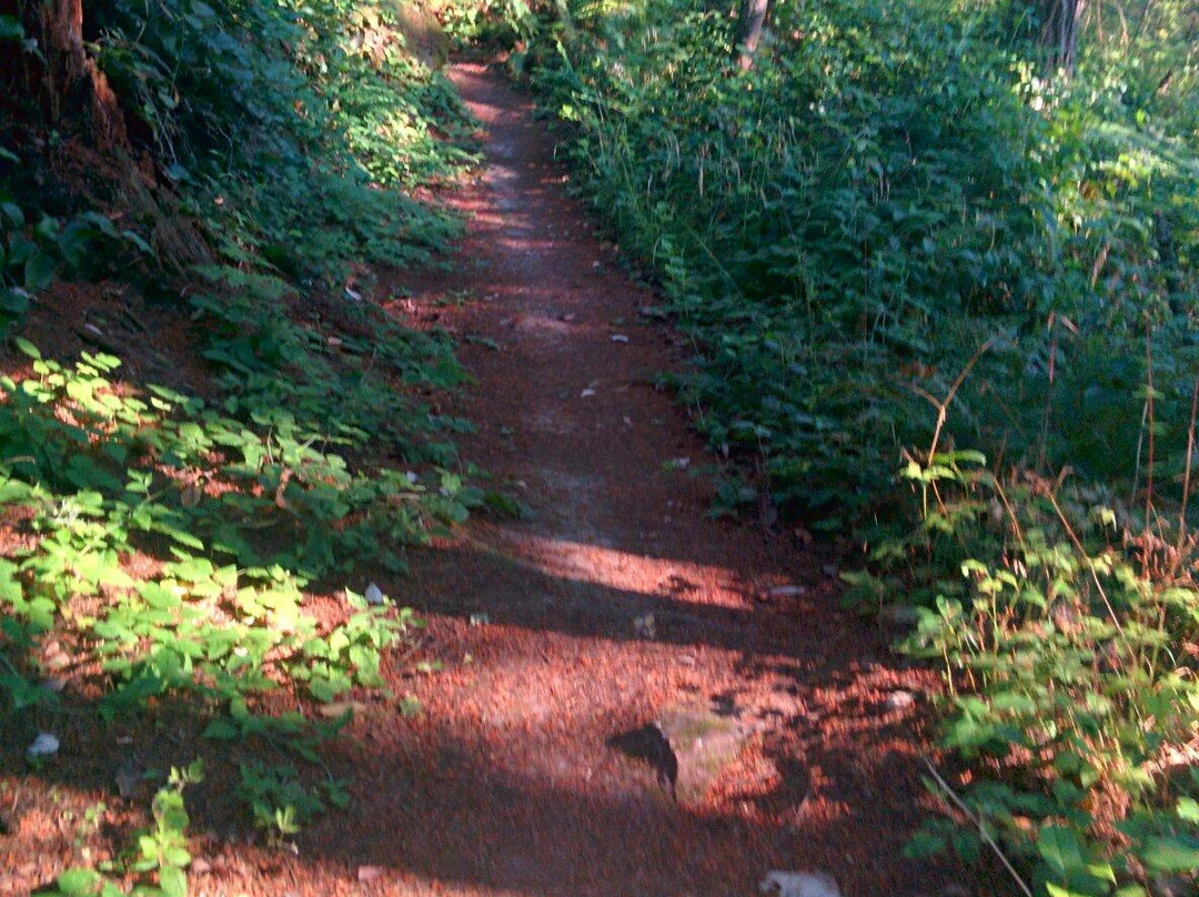 Interurban Trail景点图片