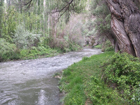 Turco Travel-库萨达斯必去景点