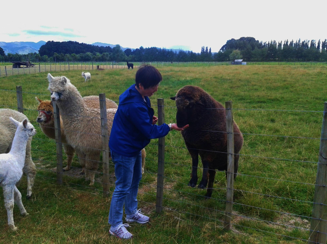 Kahikatea Gardens景点图片