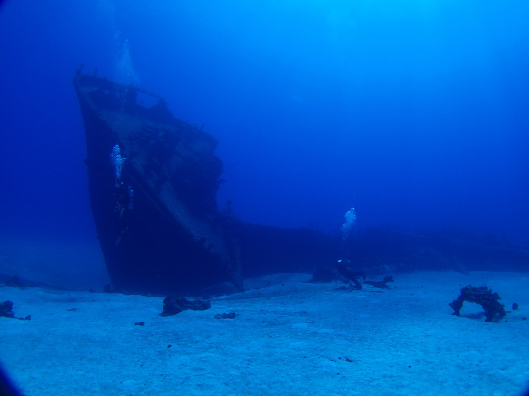 Blue Palms - Day Tours-Rota必去景点