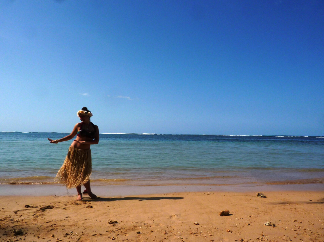 Kauai Eden Tours景点图片