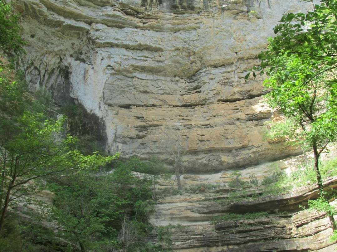 Hemmed-in-Hollow Falls景点图片