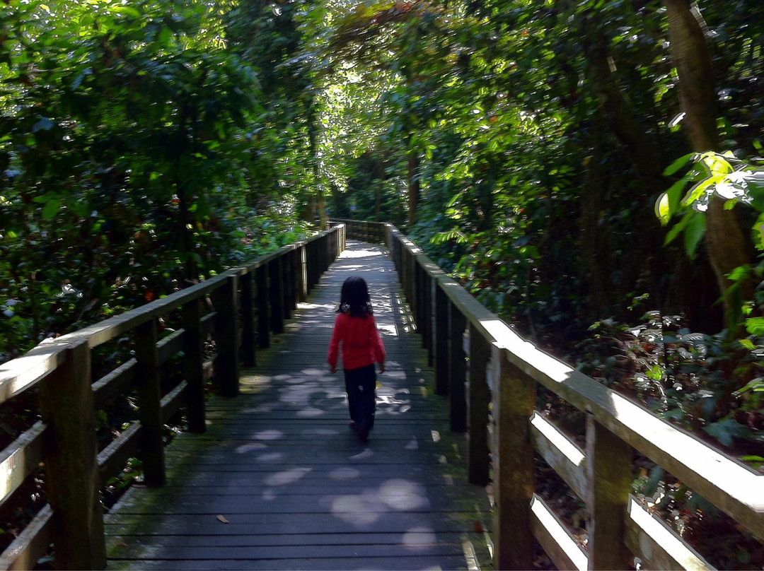 西必洛猿人保护区-西必洛必去景点