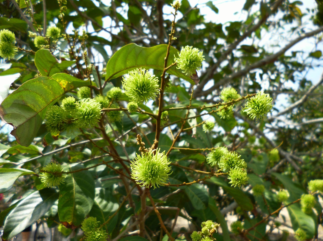 Melaka On Bike - Day Tours-马六甲必去景点