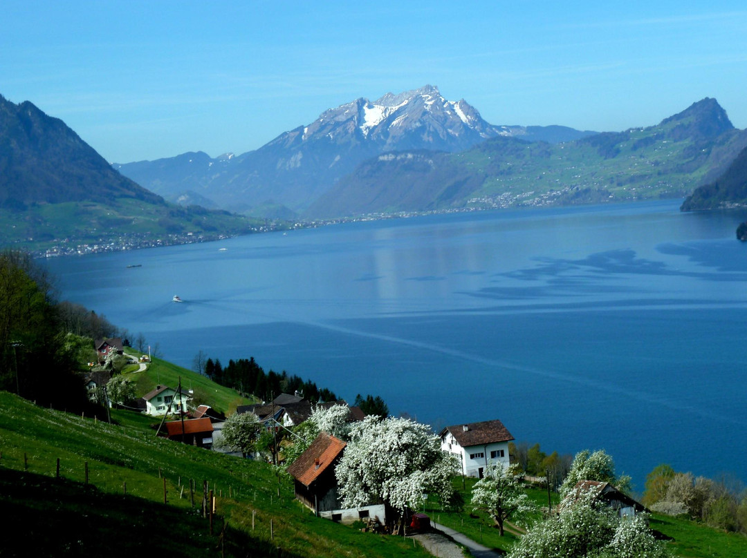 The Swiss Path-Seelisberg必去景点