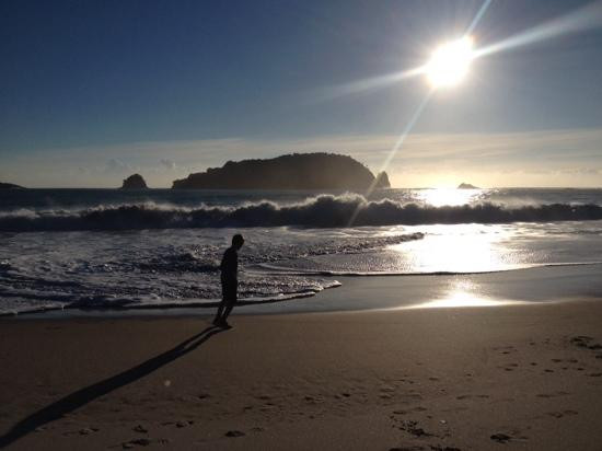 Hahei Beach Walk-哈海必去景点