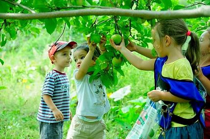 Le Verger Labonté-Notre-Dame-de-l'Ile-Perrot必去景点