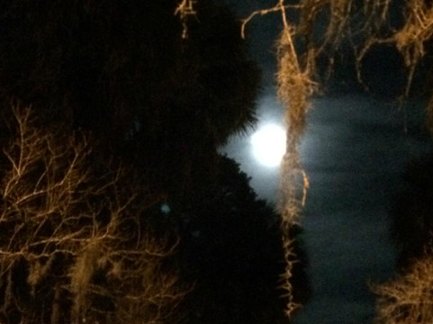 The Savannah Ghostwalker Tour-萨凡纳必去景点