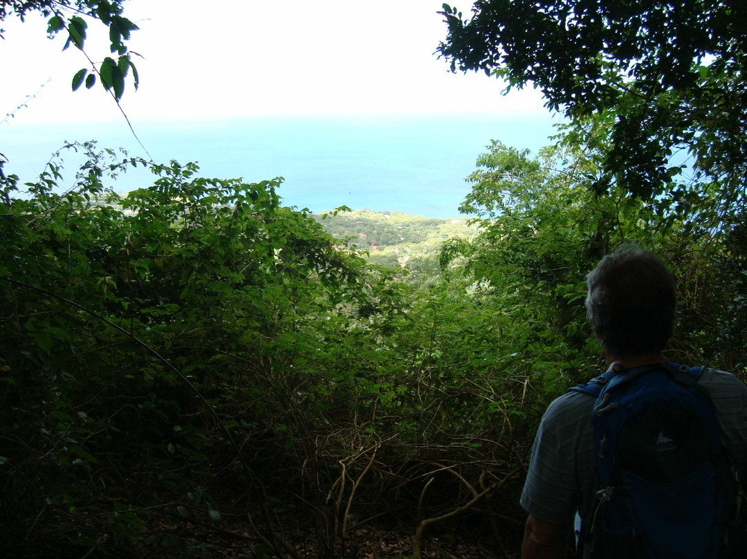Cot Trail-蒙特塞拉特必去景点