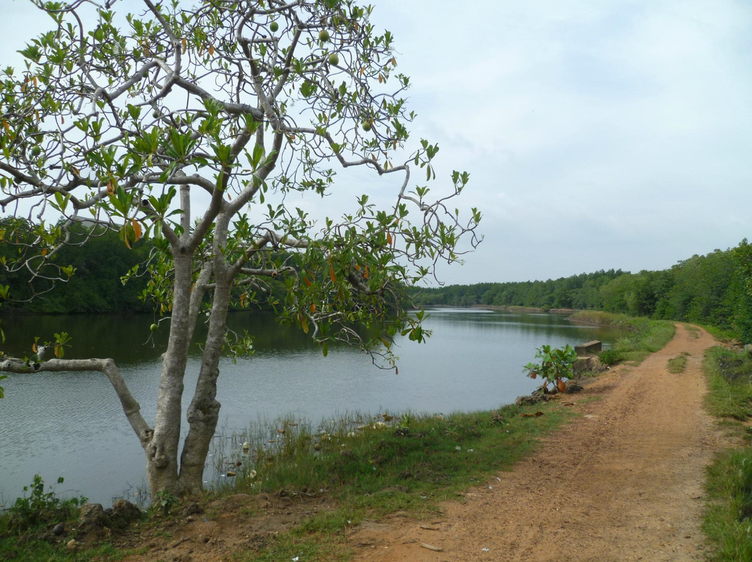 萨米拉骑行之旅-加勒必去景点