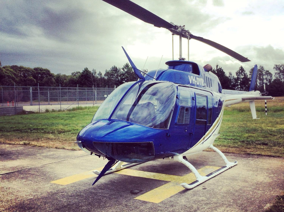 Skyline Aviation Group景点图片