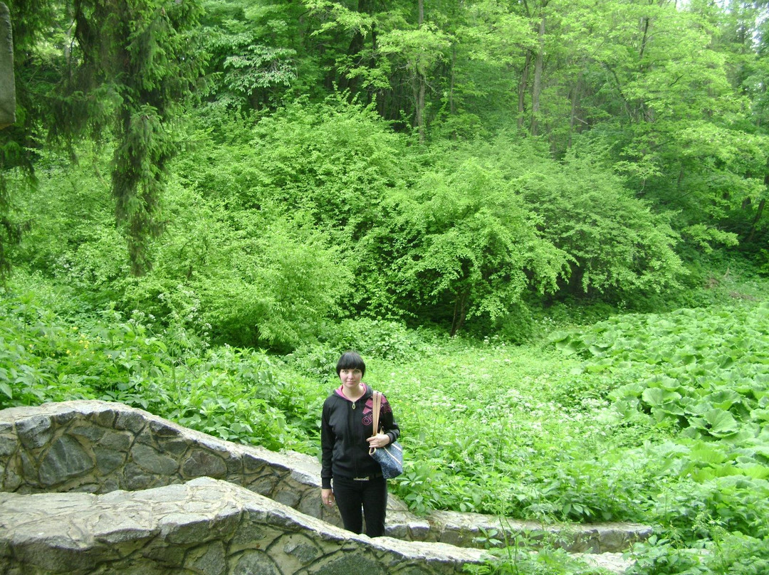 Krasnokutsk Arboretum-Krasnokutsk必去景点