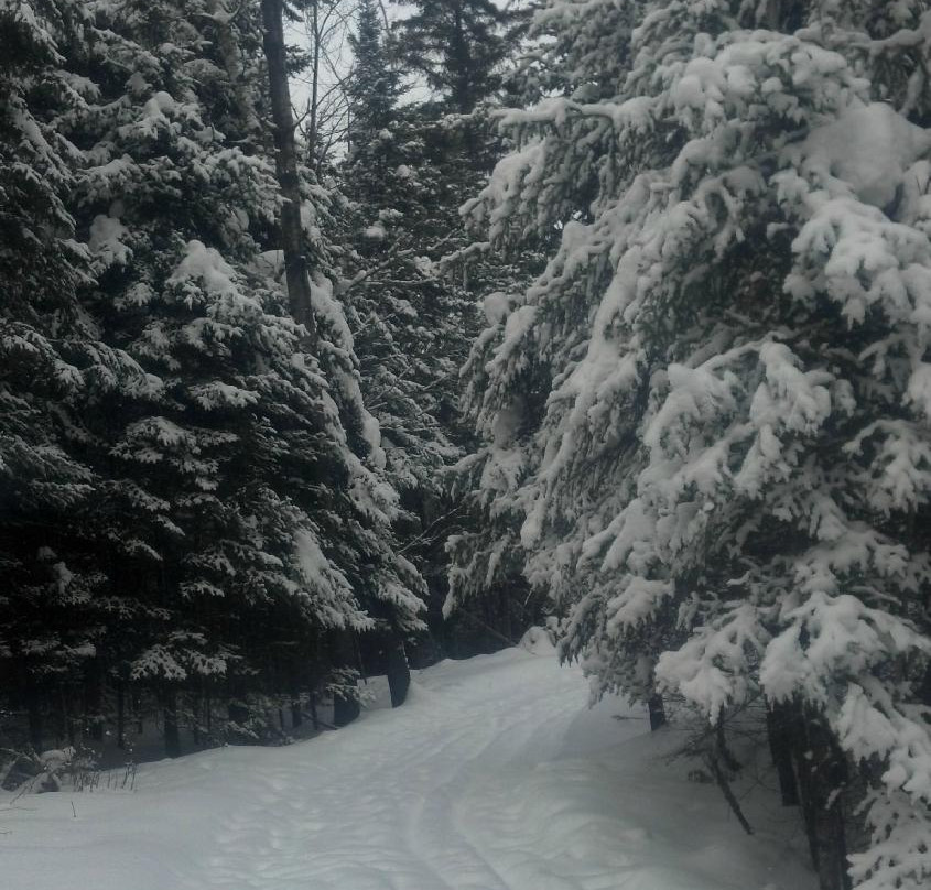 Minocqua Winter Park & Nordic Center景点图片