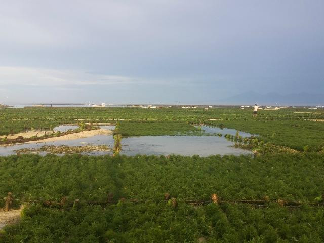 Mushroom Beach-蓝梦岛必去景点